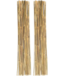Natural Bamboo Garden Stakes for Indoor and Outdoor Plants -Pack Of 20 - 150 cm