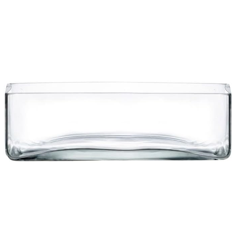 s-pdpxl Square Glass Dish Vase - 10cmH x 24cmø - Image 1