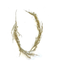 Gold Berry Branch Glitter Garland