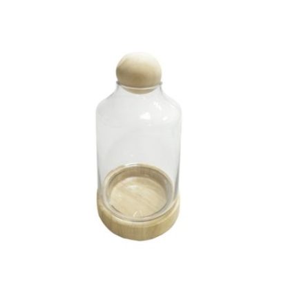 Transparent Greenhouse Dome Vase