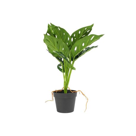 s-pdpxl Potted Leaf Cutout Faux Plant - Image 1