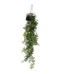 Glass Jar Hanging Plant 58cm