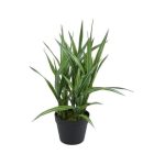 Artificial Dracaena Plant In Plastic Pot (38x56cm)
