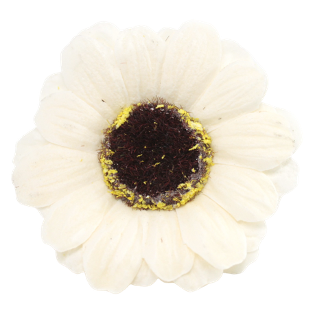 s-pdpxl Artificial Soap Daisy Flower Heads - Pack of 50 - Cream - Image 1
