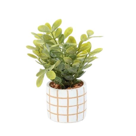 s-pdpxl Greenery In Check Pot (8x19cm) - Set of 2 - Image 1