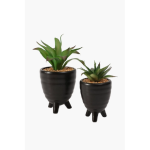 Artificial Tripod Potted Sucullent - Medium &Small