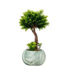 Artificial Mini Bonsai Tree with Ceramic Pot