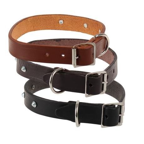 xgb-xxxabe-pdpxl Bulk Pack 5x Pet Dog-Collar Leather Rivetted 25mm - Image 1